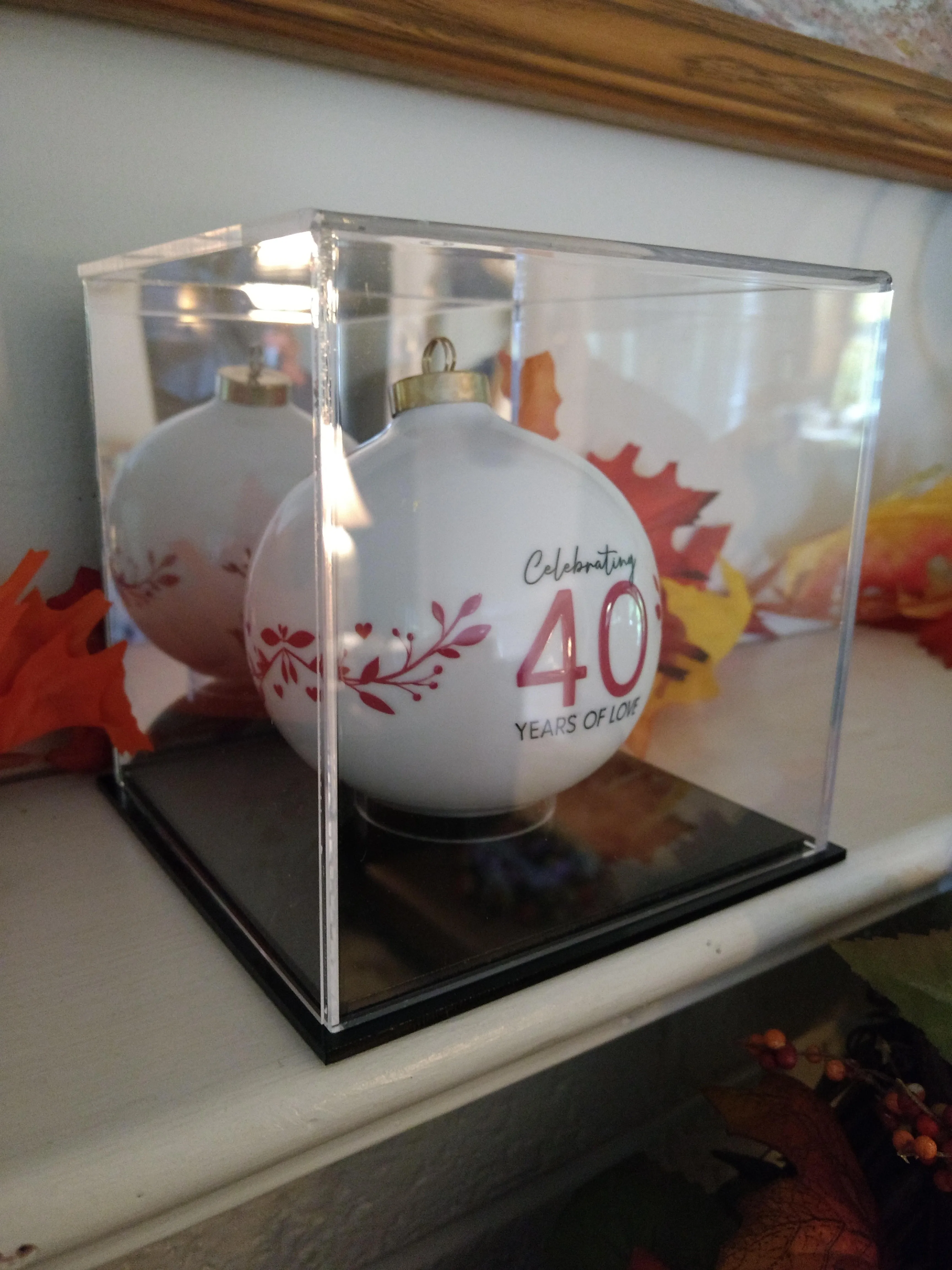 Acrylic Christmas or Holiday Ornament Display Case