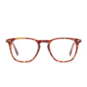 GRIFFIN - AMBER TORTOISE   BLUE LIGHT READERS