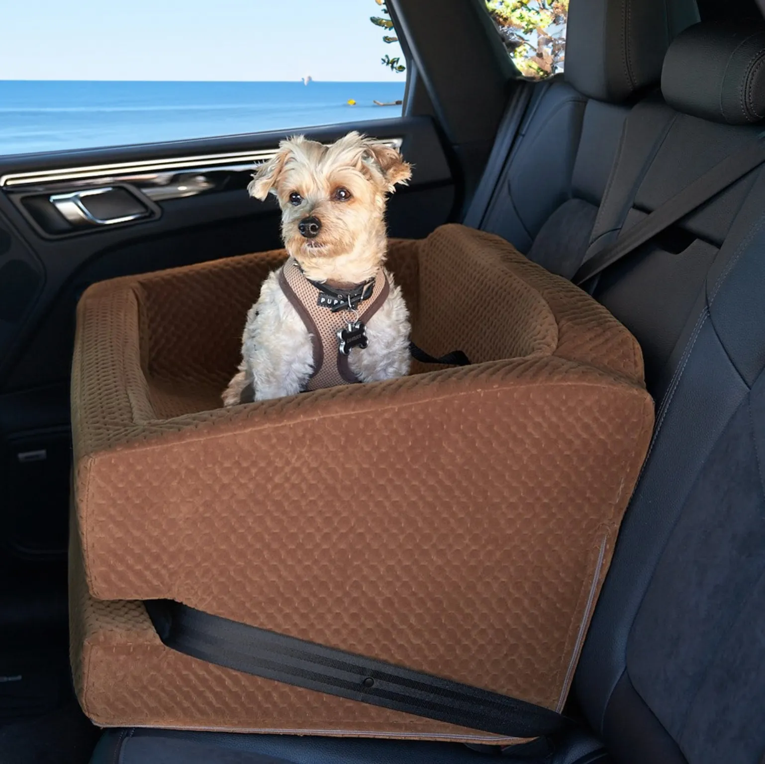 L.A. Dog Company® Rider Turbo Car Seat