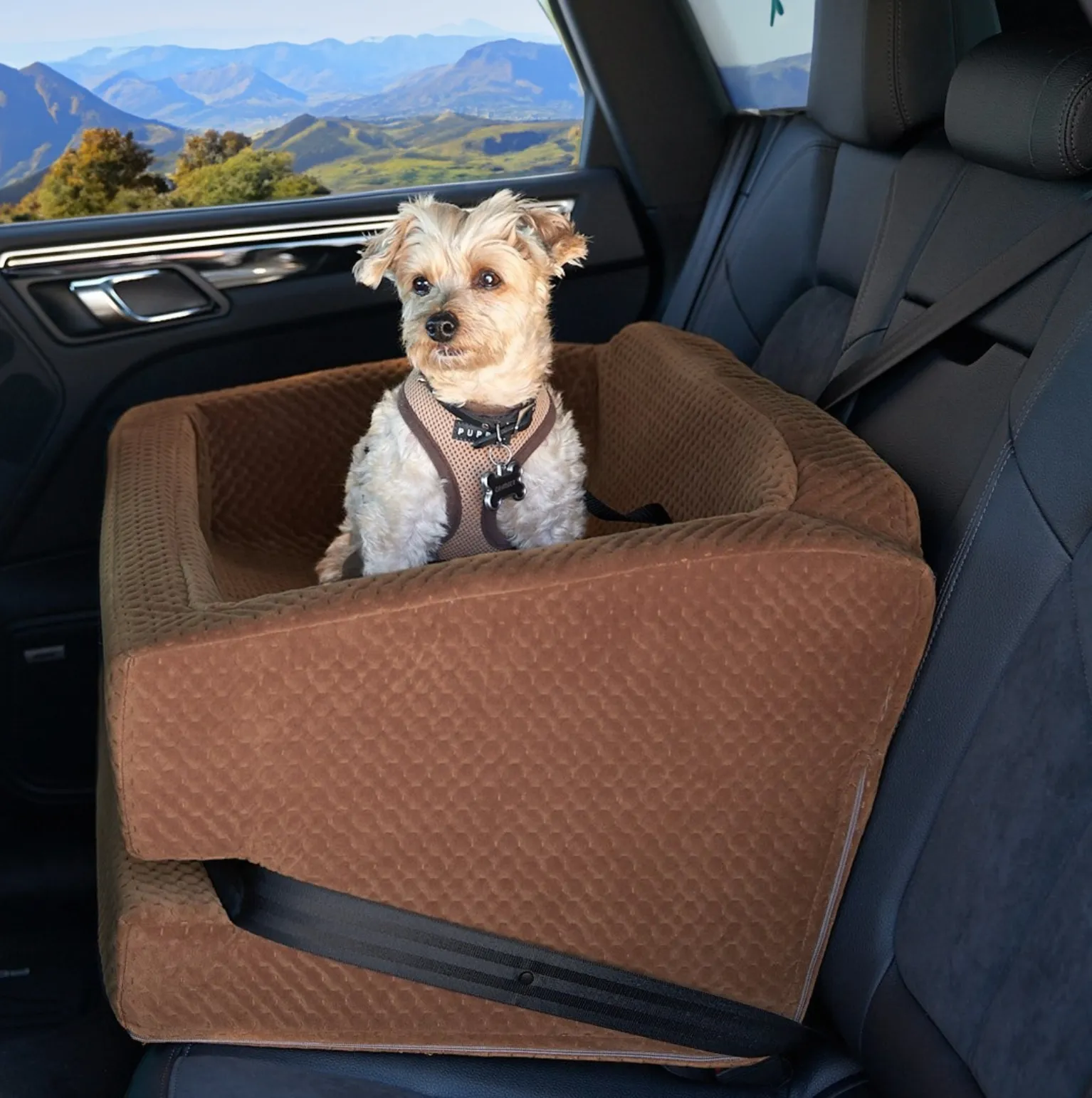 L.A. Dog Company® Rider Turbo Car Seat