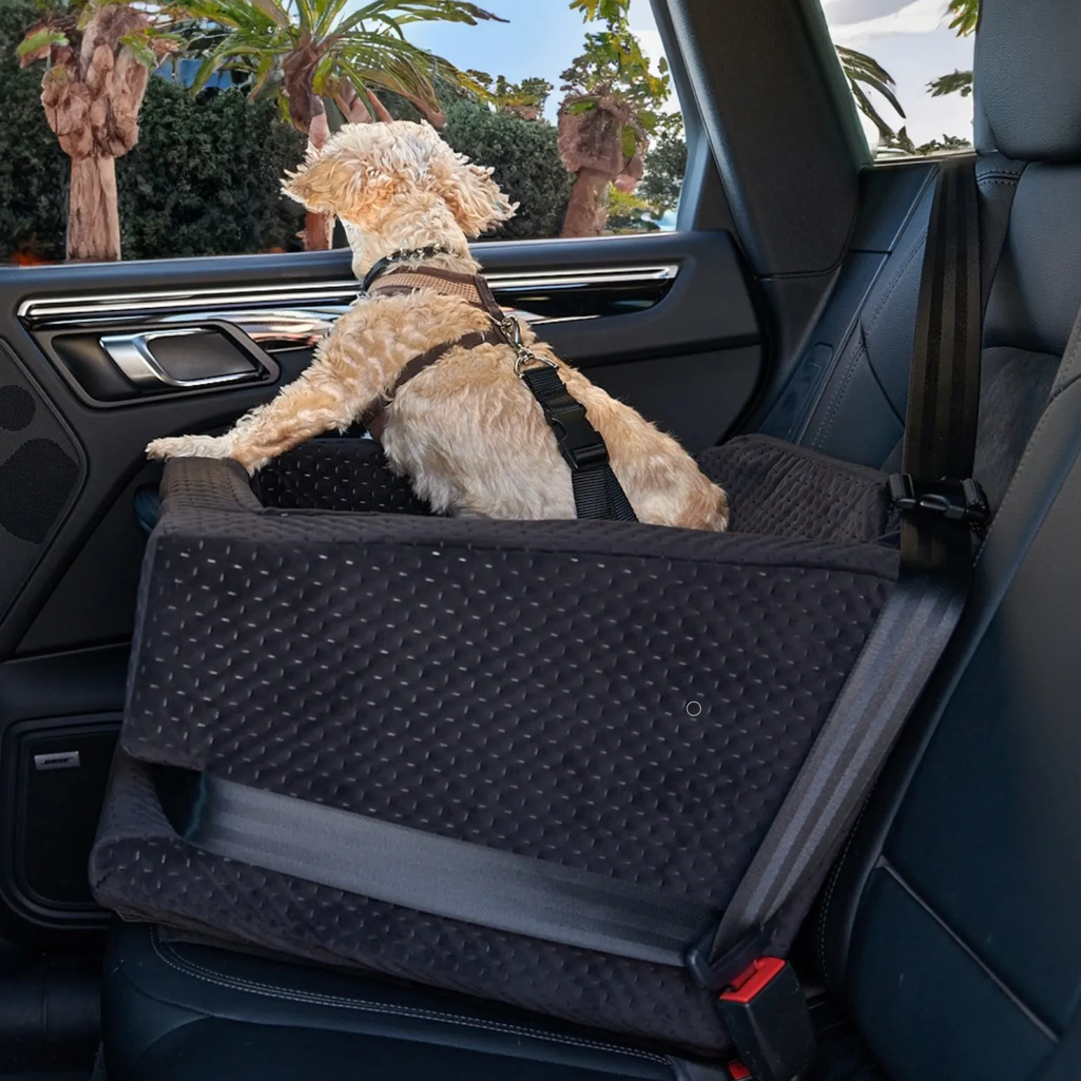 L.A. Dog Company® Rider Turbo Car Seat