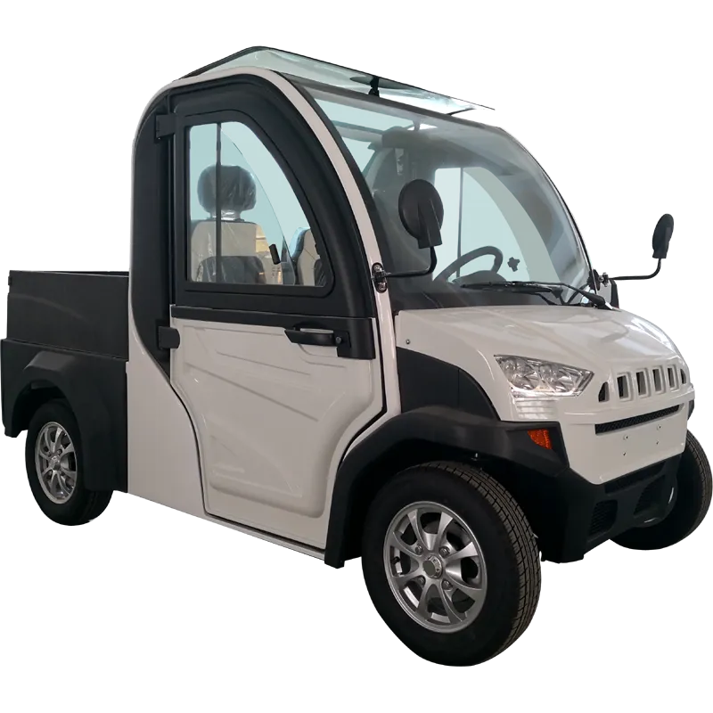 New Electric Car Electric Utility Vehicle with Cargo Box