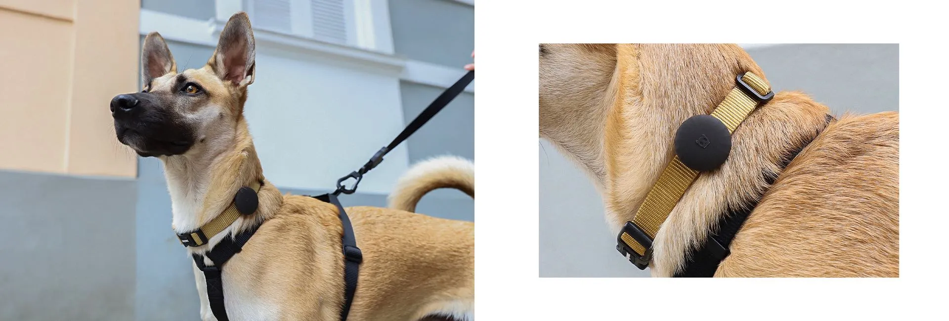 Zee Dog Gotham Airtag Holder